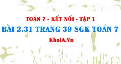 Bài 2.31 trang 39 SGK Toán 7 tập 1 Kết nối tri thức